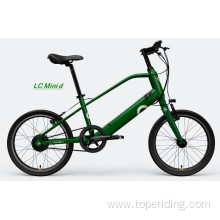 Customized Electric Mini Bike